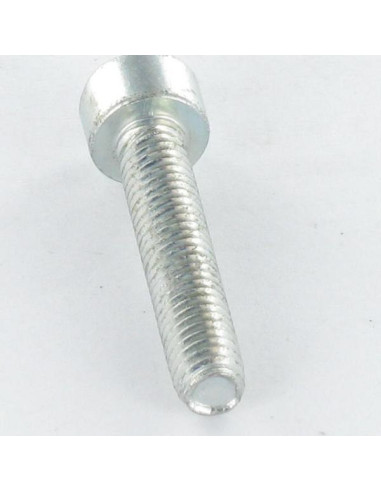1 x Itsekierteittävä ruuvi Lieriöpää M5X25 TORX...