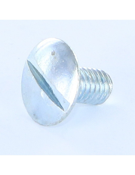 1 x Metalliruuvit Kupupää Halkaistu Uritettu laippakanta M6X10 Luokka 8.8 Sinkitty teräs
