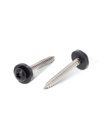 1 x Levyruuvi Lieriöpää TORX T15 + Aluslevy...