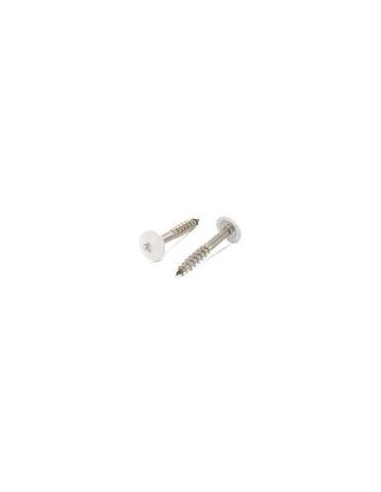 1 x Julkisivuruuvi TORX T20 4,8x32 Pään...