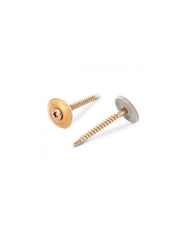 1 x Rakennusruuvi Kupumainen uppokanta TORX T20...
