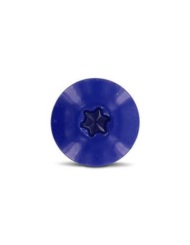 1 x Julkisivuruuvi TORX T20 4,8x25 Pään...
