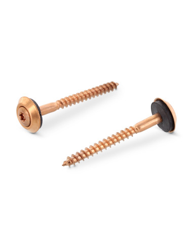 1 x Rakennusruuvi Kupumainen uppokanta TORX T20...