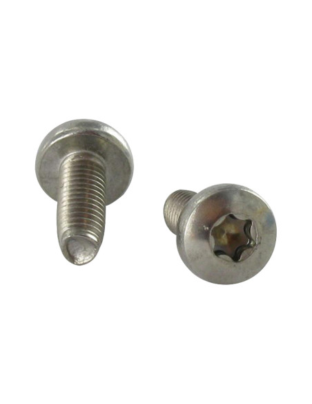 1 x Itsekierteittävä ruuvi Kupumainen lieriöpää TORX T30 M6X25 Ruostumaton teräs A2