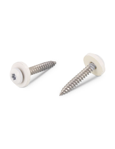 1 x Levyruuvi Lieriöpää TORX T15 + Aluslevy...