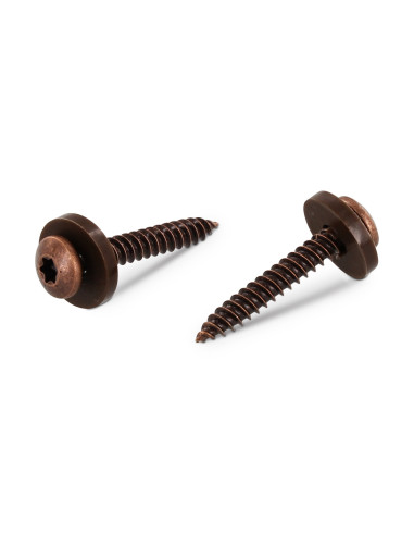 1 x Levyruuvi Lieriöpää TORX T15 + Aluslevy...