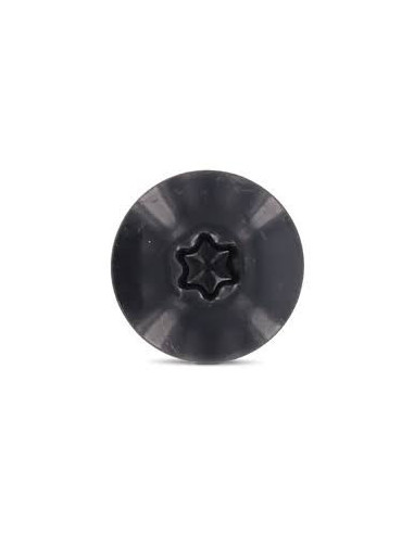 1 x Julkisivuruuvi TORX T20 4,8x38 Pään...