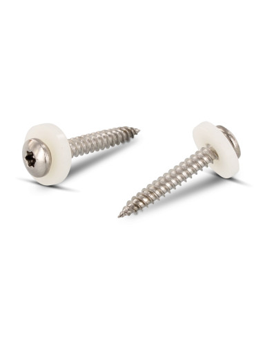 1 x Levyruuvi Lieriöpää TORX T15 + Aluslevy...