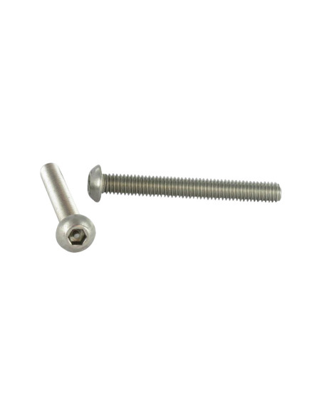 1 x Metalliruuvit Väärinkäytöltä suojattu BHC (Bombée Hexagonal creux / kupukantainen kuusiopää) tapilla M8X16