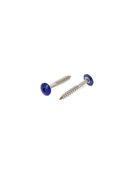 1 x Julkisivuruuvi TORX T20 4,8x38 Pään halkaisija: 12.3 Ruostumaton teräs A2 RAL5002