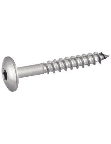 1 x Julkisivuruuvi TORX T20 5,5x45 Pään...