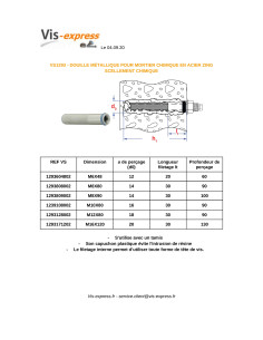 Metalliholkki kemialliselle ankkurille M6X48 Sinkitty teräs 2