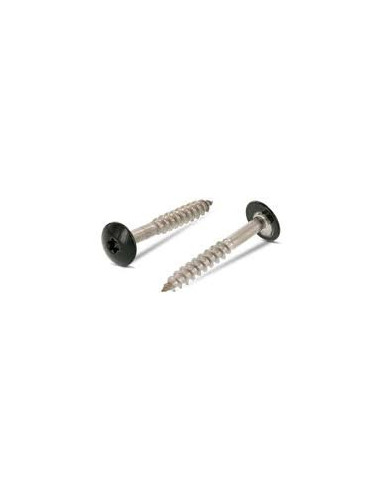 1 x Julkisivuruuvi TORX T20 4,8x25 Pään...
