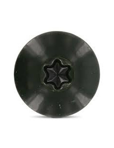 Julkisivuruuvi TORX T20 4,8x25 Pään halkaisija: 12.3... 2