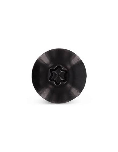 1 x Julkisivuruuvi TORX T20 5,5x32 Pään...