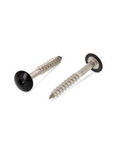 Julkisivuruuvi TORX T20 5,5 x 38 Pään halkaisija: 12.3...
