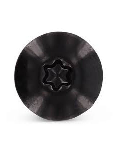 Julkisivuruuvi TORX T20 5,5 x 38 Pään halkaisija: 12.3... 2