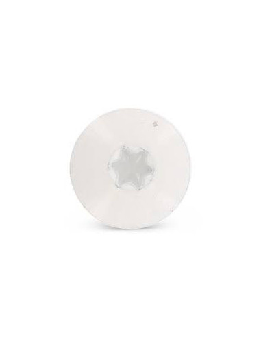 1 x Julkisivuruuvi TORX T20 5,5 x 38 Pään...