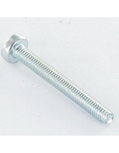 1 x Itsekierteittävä ruuvi leveä kupukantainen M5X8 Pozi PZ10 Sinkitty teräs
