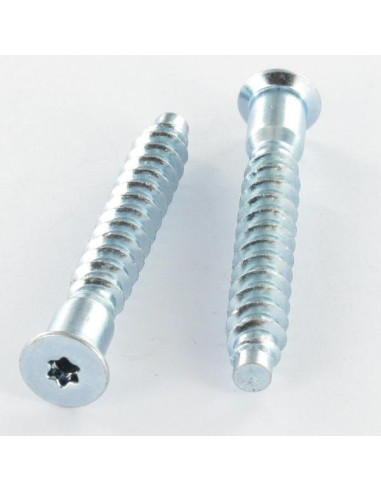 1 x "Kasausruuvi uppokantainen TORX 7x50 SS...