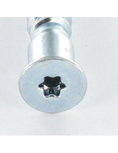 1 x "Kasausruuvi uppokantainen TORX 7x50 SS...