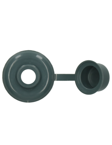 1 x Suojus Ankkuriruuvi Kohteesta 5 RAL7031...
