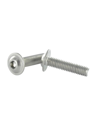 1 x Metalliruuvit BHC (Bombée Hexagonal creux /...