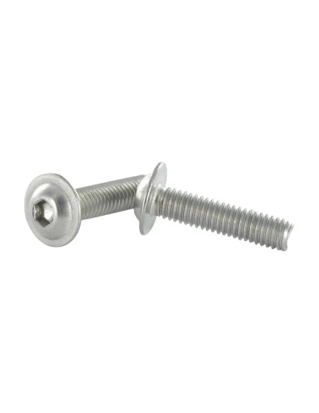 1 x Metalliruuvit BHC (Bombée Hexagonal creux / kupukantainen kuusiopää) Laippakanta M6X60 Avain 5 HC5 Ruostumaton