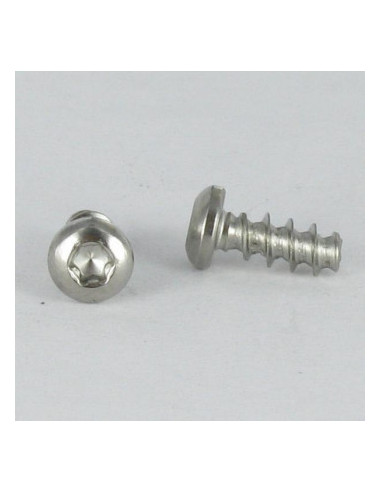 1 x PVC-ruuvi leveä kupukantainen TORX 4X20...