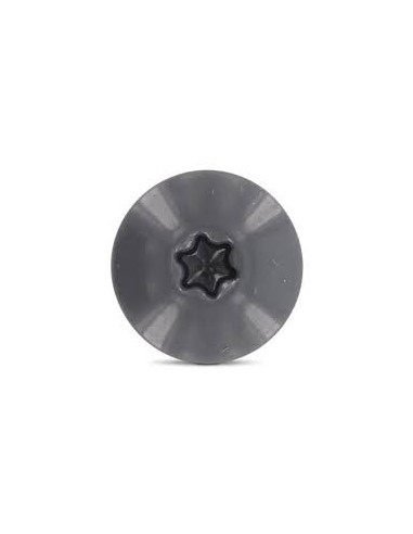 1 x Julkisivuruuvi TORX T20 4,8x32 Pään...