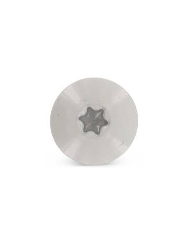1 x Julkisivuruuvi TORX T20 4,8x32 Pään...