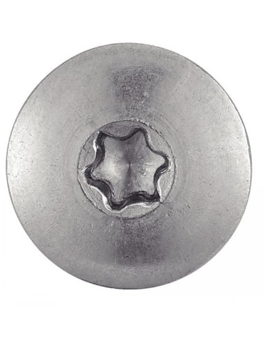 1 x Julkisivuruuvi TORX T20 5,5x50 Pään...