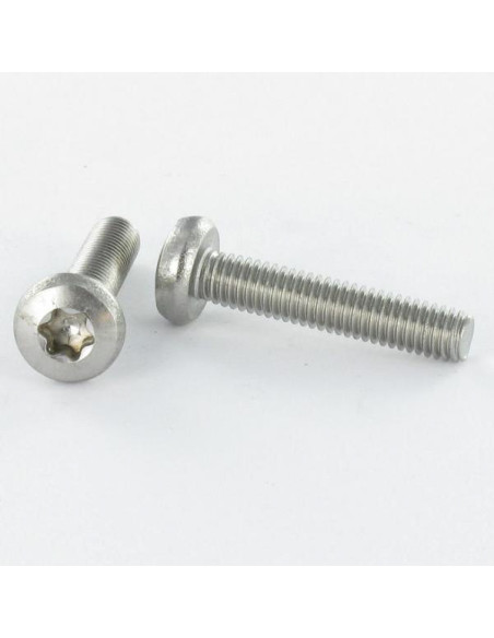 1 x Metalliruuvit leveä kupukantainen M5X10 TORX T25 Sinkitty teräs