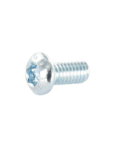 1 x Metalliruuvit Kupupää TORX T30 M6X20 Luokka...