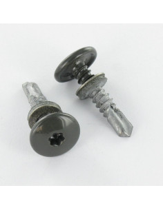 Itseporautuva ruuvi Kupumainen lieriöpää TORX T25 5,5 x...