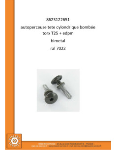 Itseporautuva ruuvi Kupumainen lieriöpää TORX T25 5,5 x... 2