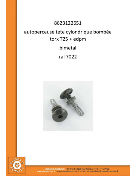1 x Itseporautuva ruuvi Kupumainen lieriöpää TORX T25 5,5 x 26 +EPDM-muovi Bimetalli RAL 7022 umbranharmaa