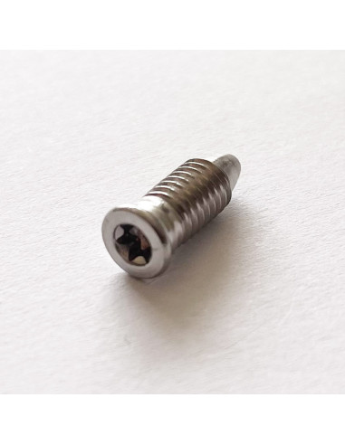 1 x Metalliruuvit uppokantainen TORX T15...