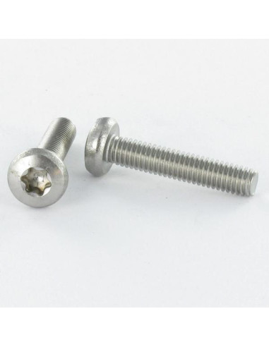 1 x Metalliruuvit Lieriöpää TORX T25 M7X80...