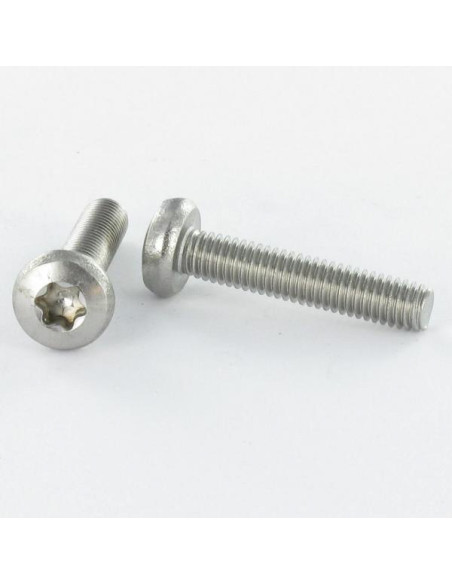 1 x Metalliruuvit Lieriöpää TORX T25 M7X80 Kierteytetty kohteessa 40 Luokka 8.8 Sinkitty teräs 250 suolasumutuntia