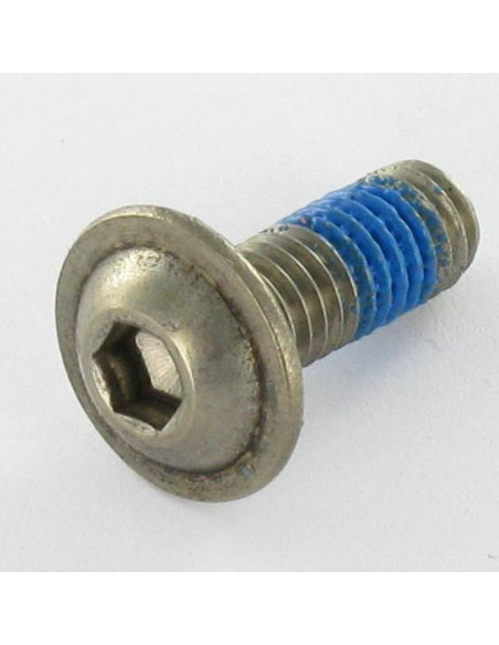 1 x Metalliruuvit BHC (Bombée Hexagonal creux / kupukantainen kuusiopää) Laippakanta M6X25 Avain 4 HC4 Ruostumaton