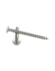 Ruuvi Sarana 6x50 Kierteytetty kohteessa 38 TORX T30...