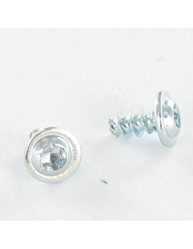 1 x PVC-ruuvi Kupolipää Pozi PZ10 5X16 Sinkitty...