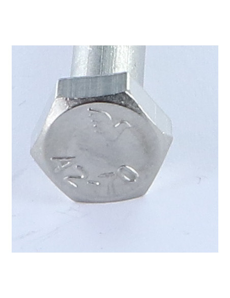 1 x "Pultin runko Ruostumaton teräs A2 Kuusiopää TH M10X50