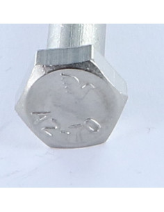"Pultin runko Ruostumaton teräs A2 Kuusiopää TH M12X80 2