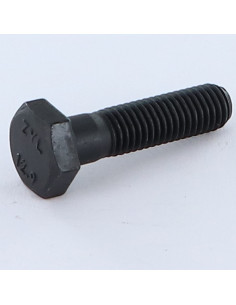 "Pultin runko Kuusiopää TH M8X40 Luokka 12.9 Raakateräs