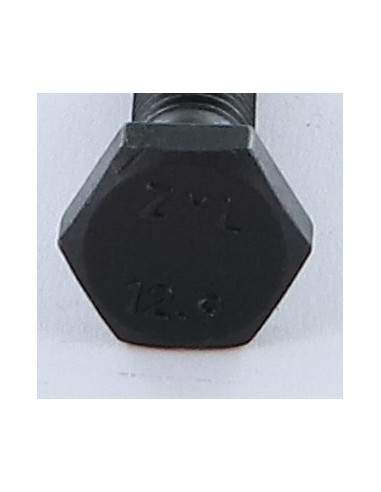 1 x "Pultin runko Kuusiopää TH M8X40 Luokka...