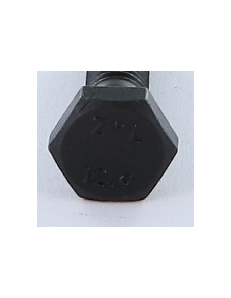 1 x "Pultin runko Kuusiopää TH M8x45 Luokka 12.9 Raakateräs