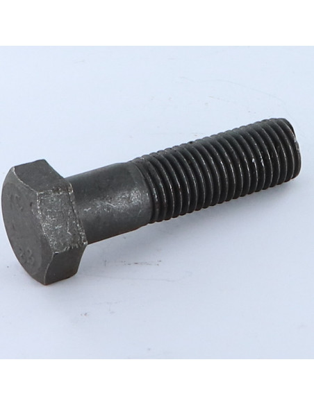 1 x "Pultin runko Kuusiopää TH M16X100 Luokka 8.8 Raakateräs
