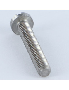 Metalliruuvit leveä kupukantainen Halkaistu M2.5X22...